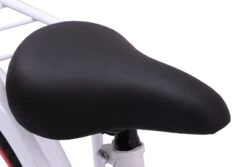 AMIGO Sweetheart-S7 20 Inch 29 Cm Girls Coaster Brake White 13 AMIGO Sweetheart-S7 20 Inch 29 Cm Girls Coaster Brake White -Bicycle Promotion Shop amigo sweetheart 20 inch 29 cm meisjes terugtraprem wit 6 307211 20190802085856 1