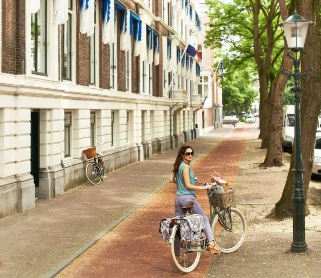 Basil Dorset Bicycle Basket For 40 Liter Rattan Gray - 13051 - Image 2