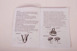 Volare Bicycle Helmet Disney Minnie Bow-Tique 52-56 Cm Pink -Bicycle Promotion Shop disney fietshelm minnie bow tique 52 56 cm roze 10 1016405 1658393492