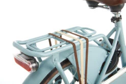 Popal Daily Dutch Basic 20 Inch 32 Cm Girls Coaster Brake Matte Blue -Bicycle Promotion Shop popal daily dutch basic 20 inch 32 cm meisjes v brakes blauw 3 504170 1606223803