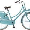 Popal Daily Dutch Basic 26 Inch 46 Cm Girls Coaster Brake Turquoise