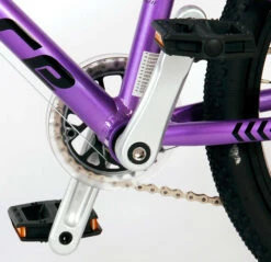 Volare Dynamic 20 Inch Girls 7SP Rim Brakes Purple -Bicycle Promotion Shop volare dynamic 20 inch 27 cm jongens 7v v brakes paars 8 1017723 1667404066